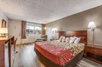 Econo Lodge Hotels in Eden