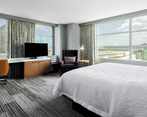Hilton Garden Inn Chicago McCormick Place Hotels near Bridgeport