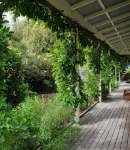 Olive Rabbit - Boutique Bed & Breakfast - Parkering