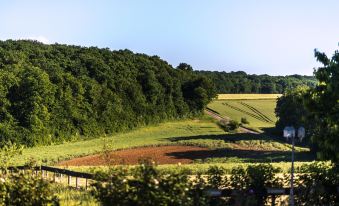 Le Petit Domaine de Bois Avril