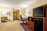 Comfort Inn Hotels near Prairie Museum-Art & History