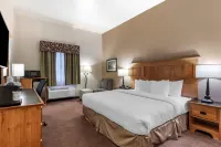 Best Western Brighton Inn Hotels in Brighton