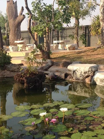 รูปภาพของกรีนการ์เด้น รีสอร์ท