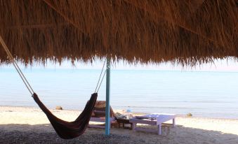 Starlight Camp Nuweiba