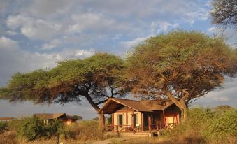 a small wooden house is nestled in a grassy field with trees and bushes surrounding it at Kilima Safari Camp