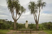 Misty Blue Bed and Breakfast Hotel a Bluff