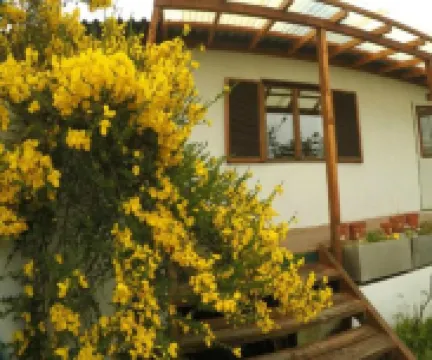 As Nancy B&B