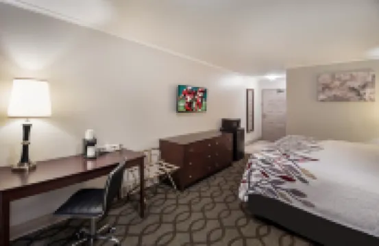 Red Roof Inn & Suites Lexington – Hamburg