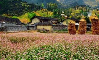 Hoang Kim Ha Giang Hotel