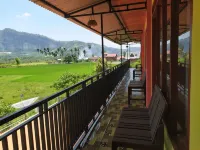 The Novi Harau