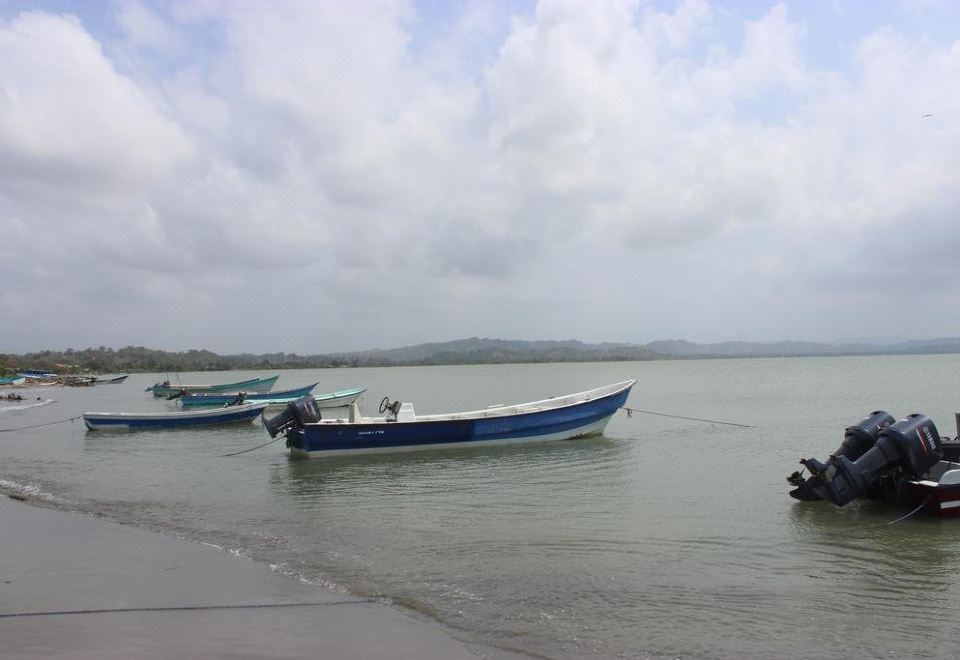 Hotel Palma Real Necocli - Housity