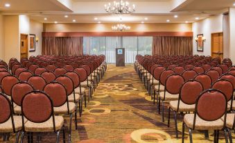 a large conference room with rows of chairs arranged in a semicircle , ready for a meeting or event at Holiday Inn Dublin - Pleasanton, an IHG Hotel