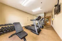 Quality Inn & Suites Hendersonville - Flat Rock - Gym