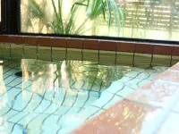 Natoriya Hotel a Minami-Alps