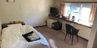 Kanagi Kanko Hotel - Single Standard