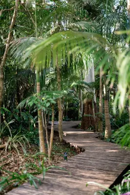 Tamborine Gardens Hôtels à : Mount Tamborine
