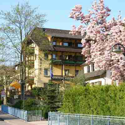 Landhotel Salmen Hotel Exterior