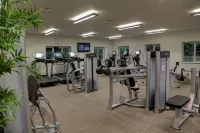 Best Western Lamphey Court Hotel - Gym