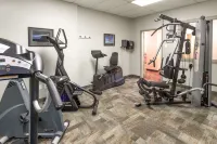 Ramada by Wyndham Niagara Falls/Fallsview - Gym