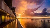 Best Western Plus Yacht Harbor Inn - Ocean View