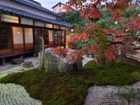 筱山觀光飯店 醫王寺のラッパイチョウ附近的飯店