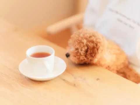 Ritomaru Villa at Hatsuyama Iki