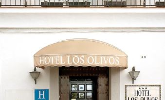 Hotel Los Olivos