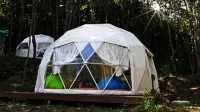Hapcheon Glamping Story