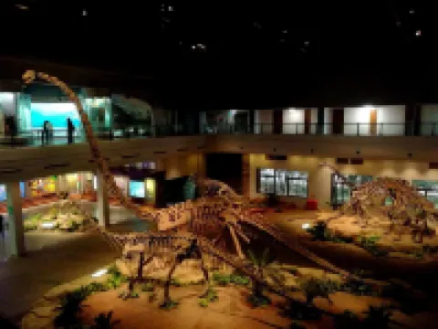 Yunshu Fantawild Dino Kingdom Homestay (B Line No.1)
