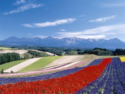 ホテル周辺 芦別温泉スターライトホテルの写真