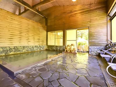 スパ・大浴場 美食と自家源泉を愉しむ静寂の宿　秘湯・鷹ノ巣温泉　鷹の巣館の写真