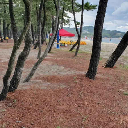 Samcheok Gracia Resort