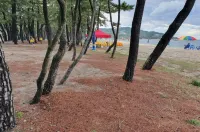 Samcheok Gracia Resort - Beach