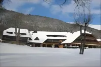 Black Bass Hotel Hotels in Sévrier