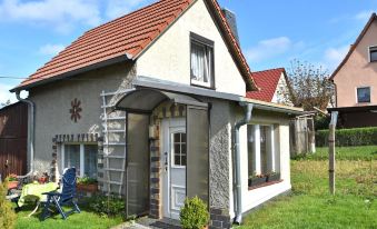 Holiday Home with Terrace in the Harz Mountains