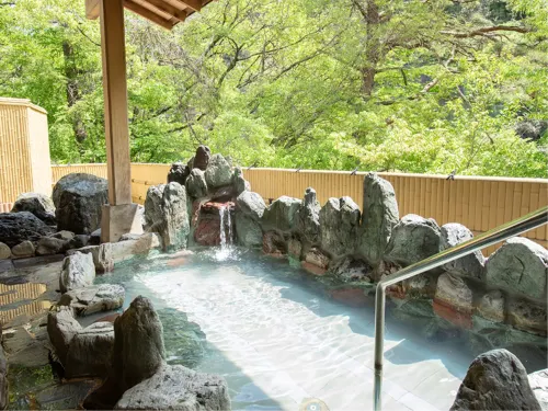伊東園ホテル尾瀬老神山楽荘 - 民泊