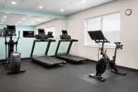 Tru by Hilton Wisconsin Dells - Gym