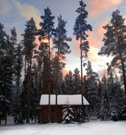 Кургала Отели в г. Кингисеппский район