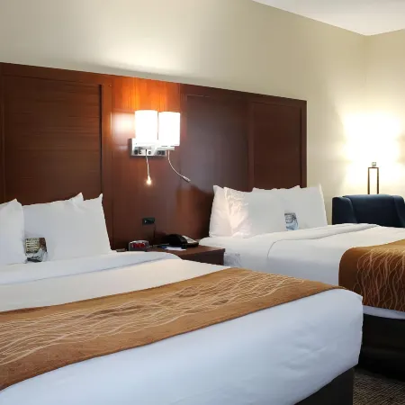 Comfort Inn & Suites Fultondale Gardendale I-65