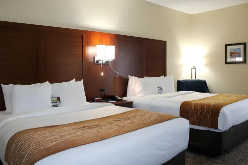 Comfort Inn & Suites Fultondale Gardendale I-65 Отели в г. Фултондейл