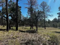 Charming 4-bedroom mobile home with WiFi and AC in Timberon Hotels in Otero County