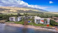 Oceanfront Maui Gem, Sugar Beach Access, Panoramic Views, Pool, Kanai A Nalu 319