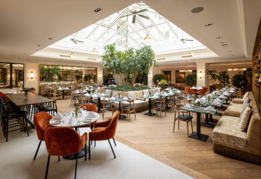 힐튼 하이델베르크