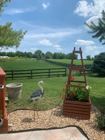 Raven Fox Farm-Country Charm! 5 BR Only 8 miles from Keeneland and BG Airport