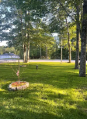 Quiet four bedroom cape. only 30 mins to Bar Harbor and Acadia National Park