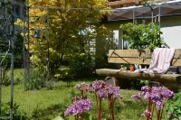 Ferienhaus Linde am Bleßberg Hotels in Sachsenbrunn