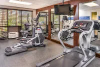 Hampton Inn Daytona/Ormond Beach - Gym