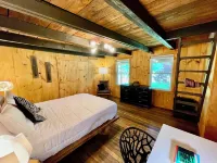 Beautiful Mountain View Cabin • 34 Acres • Borders Cherokee National Forest