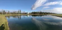Black Bear Pond Cabins