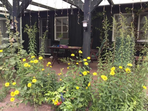 Reed House on the Beach of Lake Plau with Conservatory and Terrace Hotels in Alt Schwerin